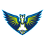 Dallas Wings Logo